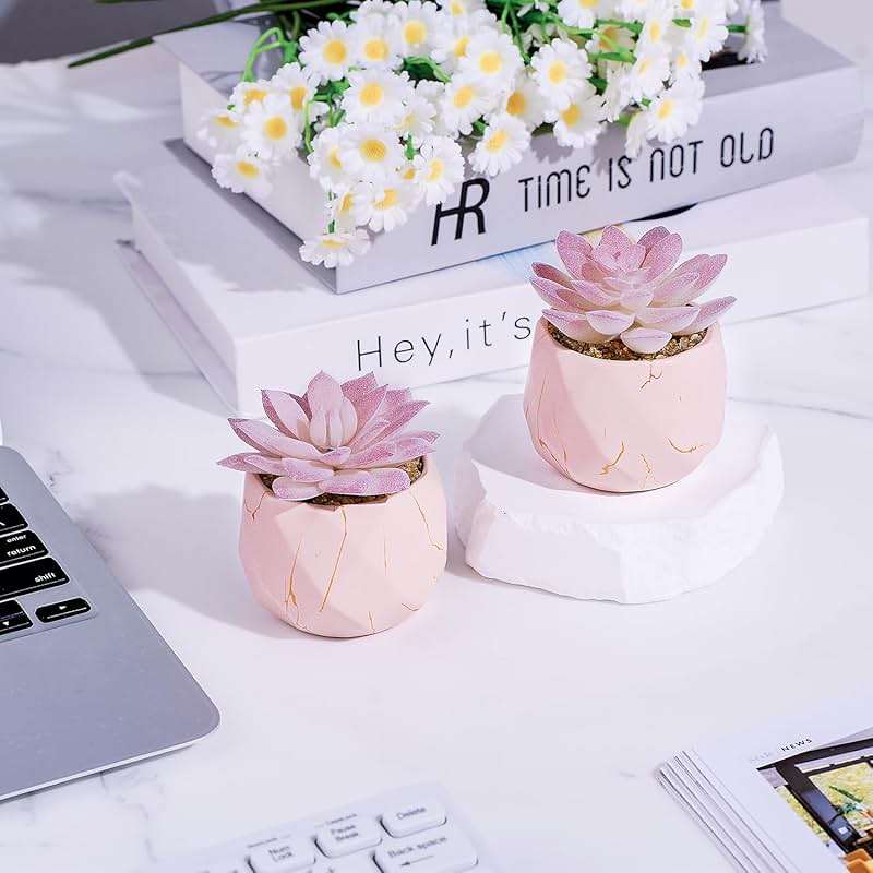 ZENIDA Artificial Succulent Plants in 2 Pink Ceramic Pots, Cute Fake Plants for Vanity Decor,Office, Desk, Bathroom, Kitchen,Bedroom, Shelves Decor for Women,Girls Gift - Image 2