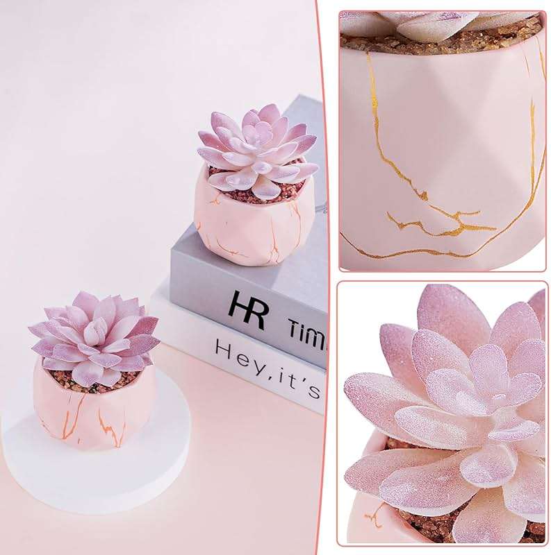 ZENIDA Artificial Succulent Plants in 2 Pink Ceramic Pots, Cute Fake Plants for Vanity Decor,Office, Desk, Bathroom, Kitchen,Bedroom, Shelves Decor for Women,Girls Gift - Image 5