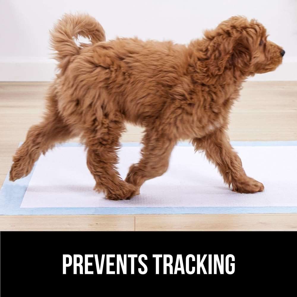 Gorilla Guard Disposable Puppy Pads, 100 Count 22x22 in, 5 Layer Pee Pads for Dogs, Absorbent Diaper Changing Pad, Dog Potty Training Supplies, Quick Dry Pet Housebreaking Essentials for Puppies - Image 5