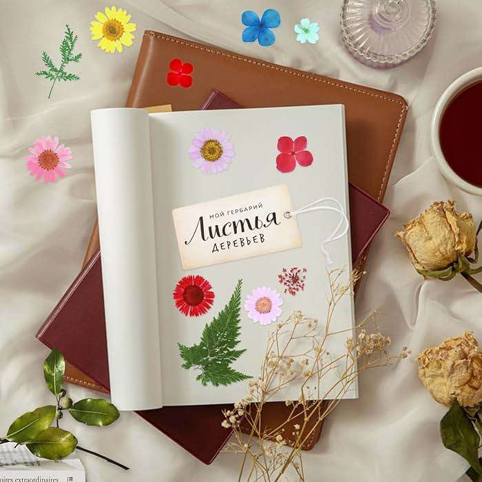 190 Pcs Dried Pressed Flowers for Resin, Real Dried Pressed Flowers for Resin Butterfly Stickers DIY Art with Tweezers Crafts Decorate for Candles Jewelry Nail Crafts - Image 2