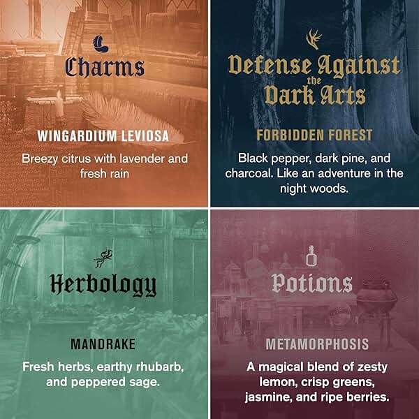 Every Man Jack Harry Potter Collectors Men's Body Wash Gift Set - Includes 4 Body Washes with Clean Ingredients & Hogwarts Inspired Scents - Defense Against the Dark Arts, Charms, Herbology, Potions - Image 4