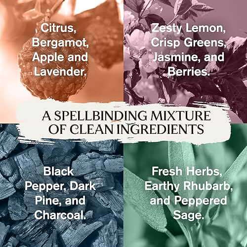 Every Man Jack Harry Potter Collectors Men's Body Wash Gift Set - Includes 4 Body Washes with Clean Ingredients & Hogwarts Inspired Scents - Defense Against the Dark Arts, Charms, Herbology, Potions - Image 7