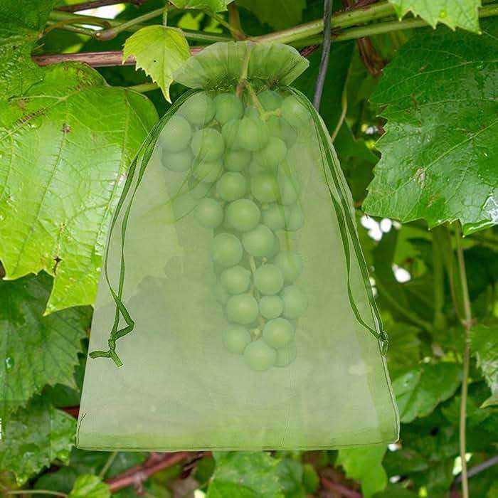 Uigidori 100 Pcs Fruit Protection Bags, 6.5 x 9 Inch Green Netting Cover Bags with Drawstring, Pest Barrier for Trees, Garden Fruit Cover Mesh Bag for Plant Vegetables and Flowers - Image 2