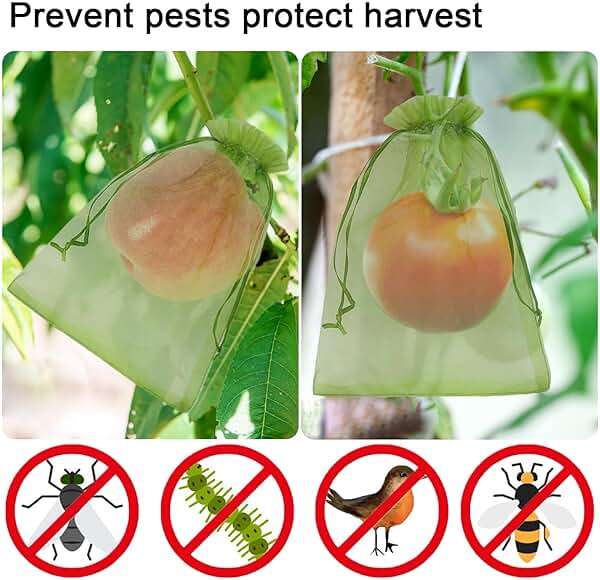 Uigidori 100 Pcs Fruit Protection Bags, 6.5 x 9 Inch Green Netting Cover Bags with Drawstring, Pest Barrier for Trees, Garden Fruit Cover Mesh Bag for Plant Vegetables and Flowers - Image 5