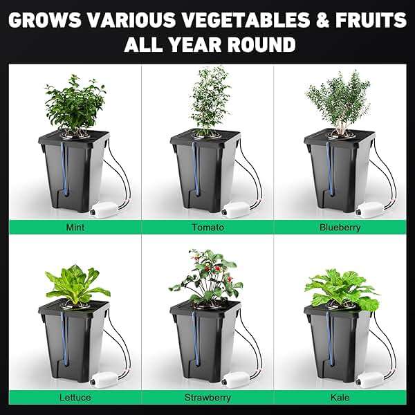 YIFOR 4 Buckets DWC Hydroponics Growing System with Top Drip Kit 7 Gallon Deep Water Culture Bucket System with Air Pump, Air Stone, Air Hose, Recirculating Drip Garden System - Image 6