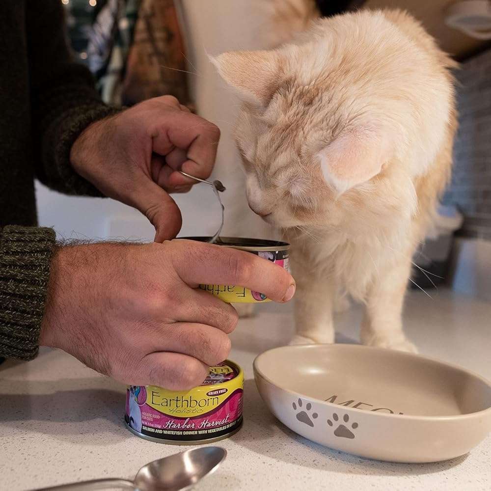 Earthborn-Holistic Cat Food Variety Pack - 4 Flavors: Catalina Catch, Harbor Harvest, Chicken Catcciatori, & Monterey Medley - Image 2