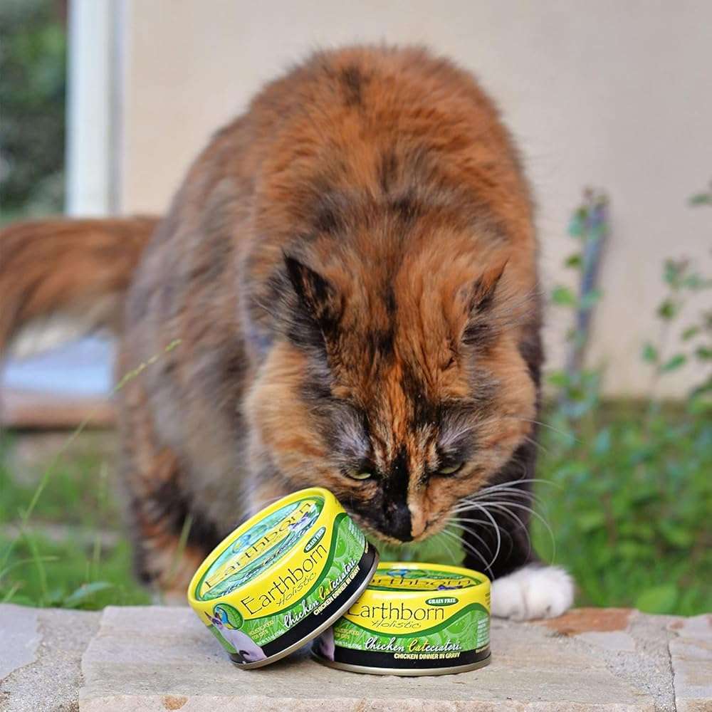 Earthborn-Holistic Cat Food Variety Pack - 4 Flavors: Catalina Catch, Harbor Harvest, Chicken Catcciatori, & Monterey Medley - Image 5