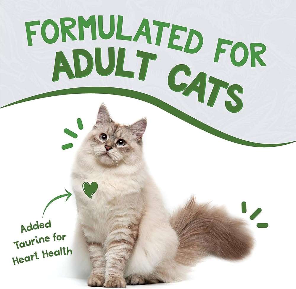 Earthborn-Holistic Cat Food Variety Pack - 4 Flavors: Catalina Catch, Harbor Harvest, Chicken Catcciatori, & Monterey Medley - Image 6