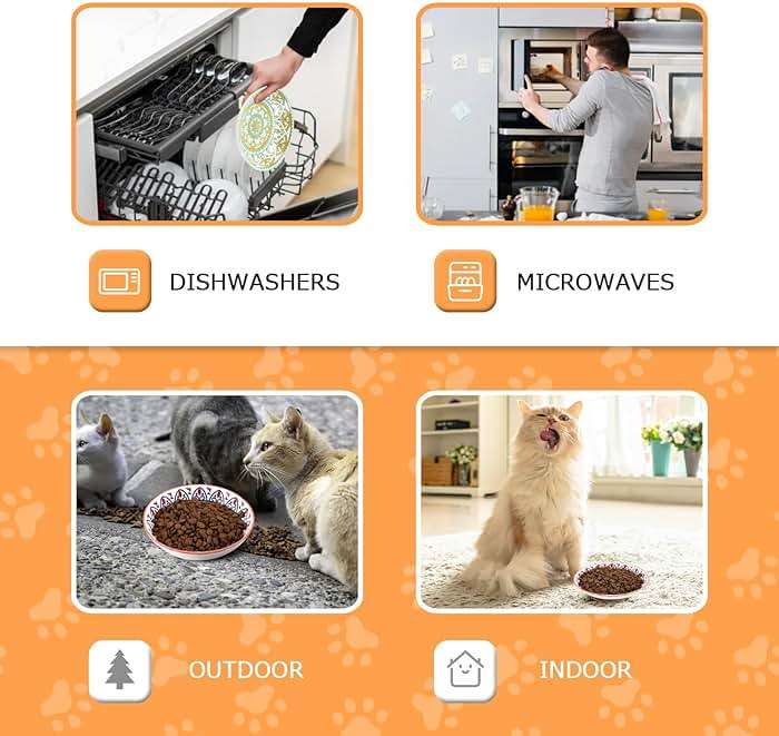 Cat Food Bowls for Indoor Cats Ceramic Cat Bowls Whisker Friendly Cat Dishes for Food and Water 5.5 Inches Kitten Bowls Cute Cat Feeding Bowls Set Cat Wet Food Bowl Set Shallow Cat Plate - Image 6