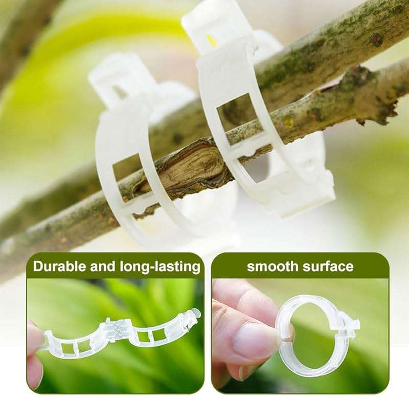 Secured Plastic Plant Clips - 2024 Upgraded Reusable Garden Support Clips 50Pcs, Climbing Vines Fixing Trellis Clips for Tomatoes (100, Green) - Image 4