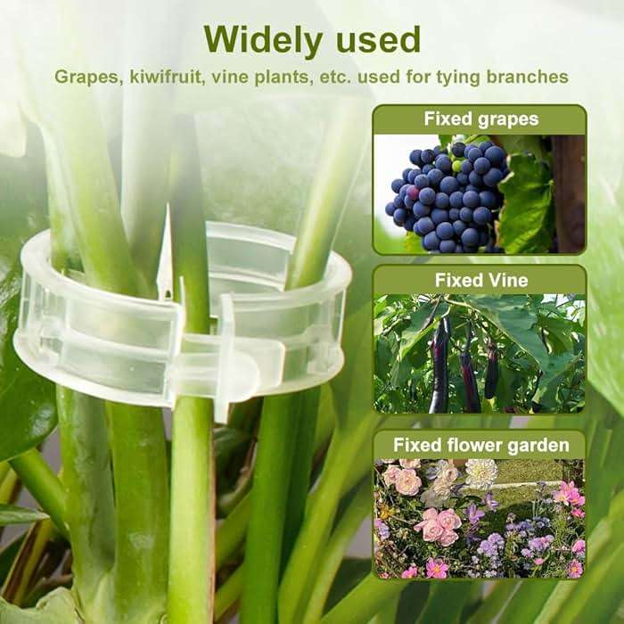 Secured Plastic Plant Clips - 2024 Upgraded Reusable Garden Support Clips 50Pcs, Climbing Vines Fixing Trellis Clips for Tomatoes (100, Green) - Image 5