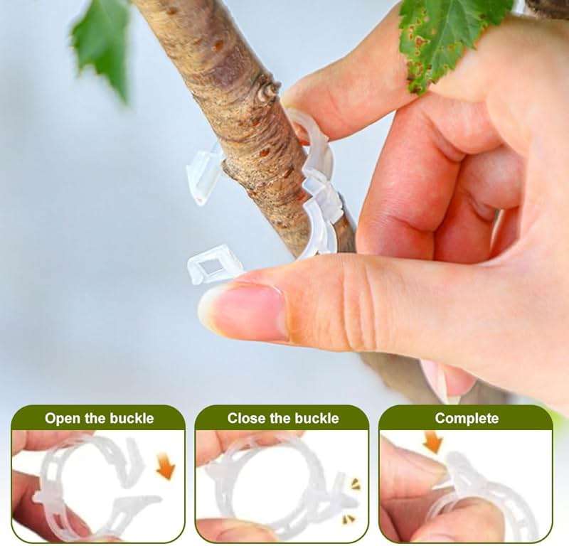 Secured Plastic Plant Clips - 2024 Upgraded Reusable Garden Support Clips 50Pcs, Climbing Vines Fixing Trellis Clips for Tomatoes (100, Green) - Image 6