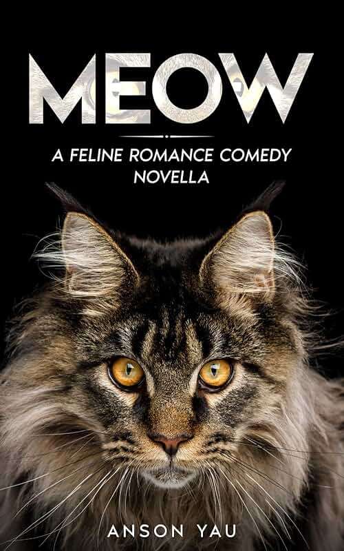 Meow: A Feline Romance Comedy Novella - Image 1