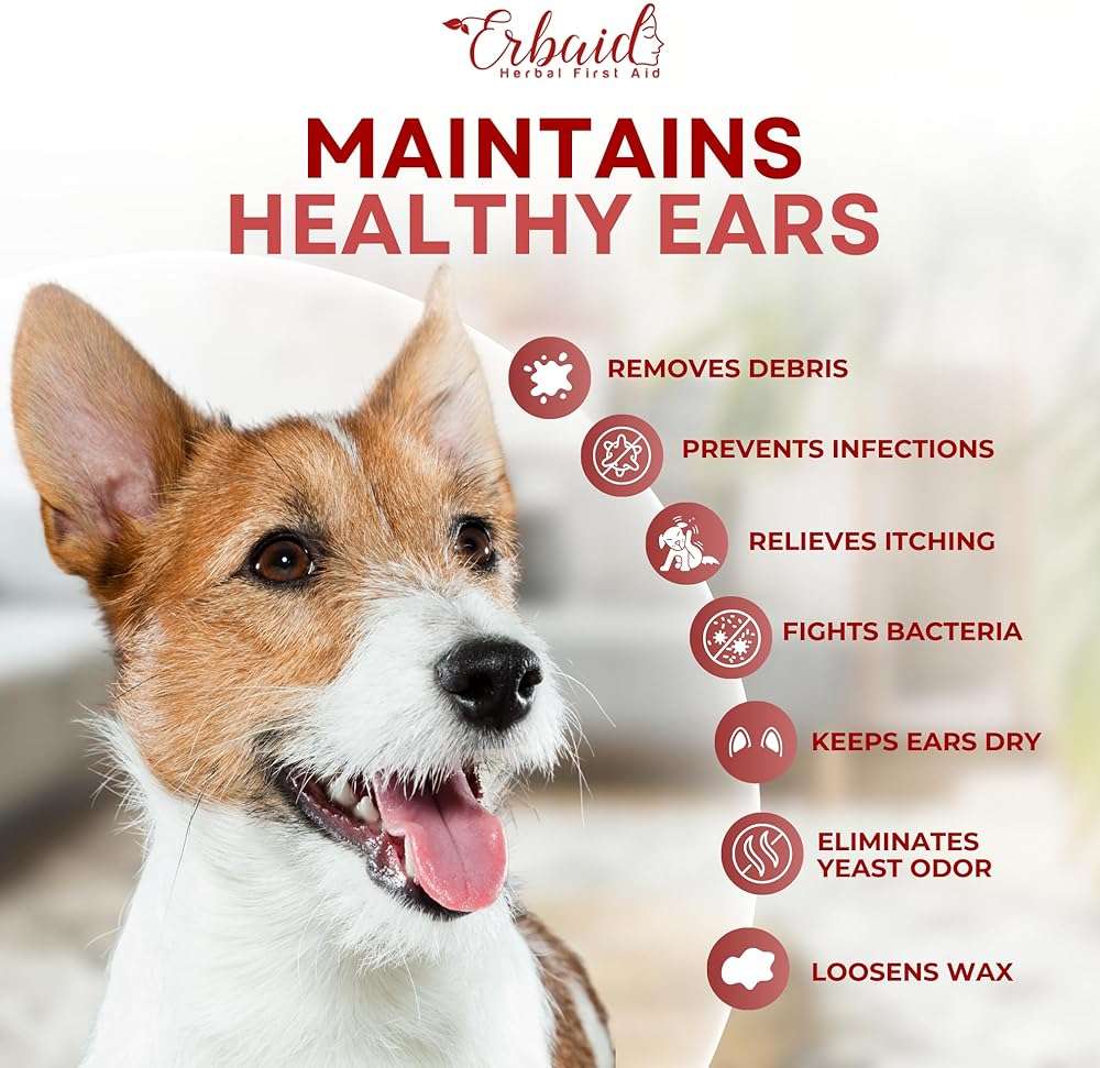 Dog Ear Cleaner – All Natural Ear Drops for Dogs Ear Infection – Eliminates Yeast Odor, Loosens Wax, Prevents Infections, Relieves Itching – Safe, Gentle, Effective Itchy Ear Relief, Made in USA - Image 3
