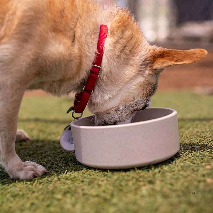 Loving Pets - Dolce Bamboo - Eco-Friendly Pet Bowls & Dishes for Dog, Cats, Puppy Food and Water Dish -Sustainable and Dishwasher Safe, Made with Real Bamboo (Medium, Oat-Beige) - Image 6