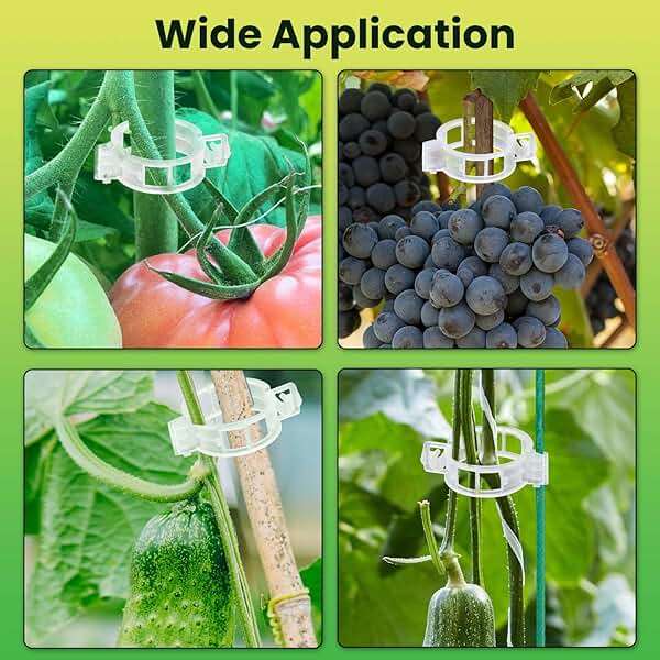 200pcs Plastic Plant Clips Reusable Garden Clips,Secured Plant Clips for Trellis&Vine Support Tomato Clips for Climbing Plants Enhance Upright Growth & Healthiness (200, CleanWhite) - Image 7