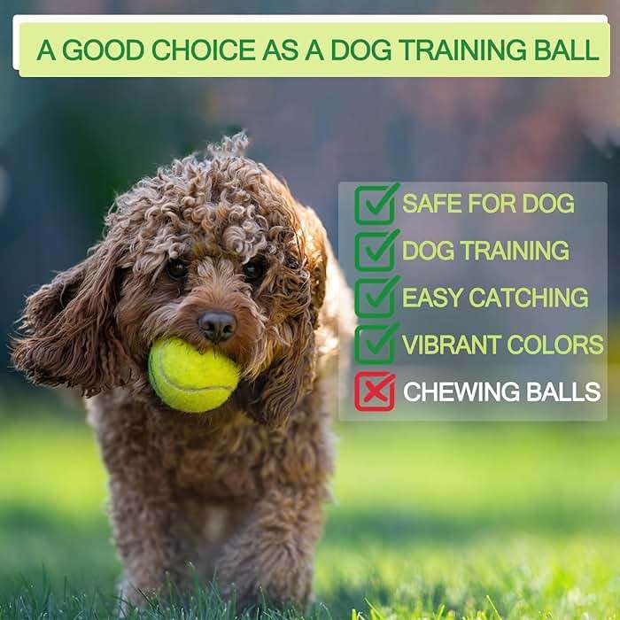 INSUM Bulk Tennis Balls for Beginner – 12 Pack High Elasticity Practice Tennis Balls with Mesh Bag, Suit for Pet Dog Training, Fetching - Image 8