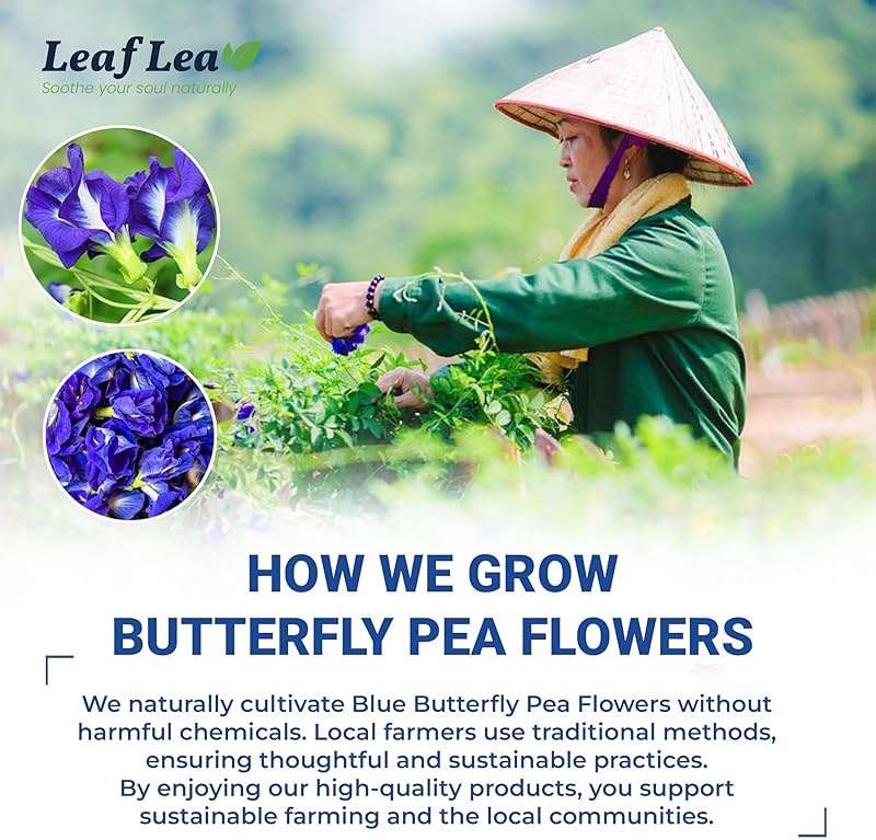 LeafLea 40 Butterfly Pea Flower Tea Bags, Herbal Flower Tea for Relaxation, Mocktails, and Natural Food Coloring, Caffeine-Free, Sugar-Free, Non-GMO - Image 10