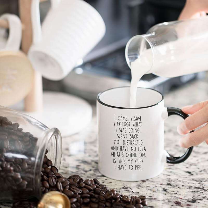 Gelid I Came I Saw I Forgot What I Was Doing Coffee Mug - Funny Senior Citizens Sarcastic Gifts Old People Elderly Mom Dad Grandma Grandpa - Presents Mothers Day Fathers Birthday - 11 oz Novelty Cup - Image 2