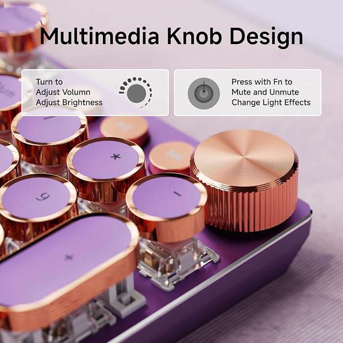 EWEADN Wired Typewriter Mechanical Keyboard, Low Noise Pink Switch Retro Punk Keyboard with Media Knob, White Backlit, Metal Panel, 104-Key Round Keycaps Cute Keyboard for Windows PC -Purple - Image 6