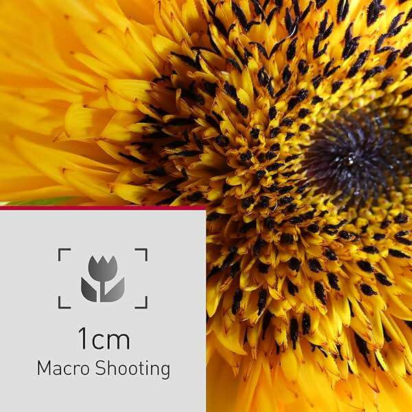 Panasonic LUMIX FZ80D Point and Shoot Digital Camera 4K Photo/Video Recording with Power Optical Image Stabilizer, Vlogging Camera with 60X Optical Zoom & 20-1200mm Wide-Angle Lens - DC-FZ80D - Image 10