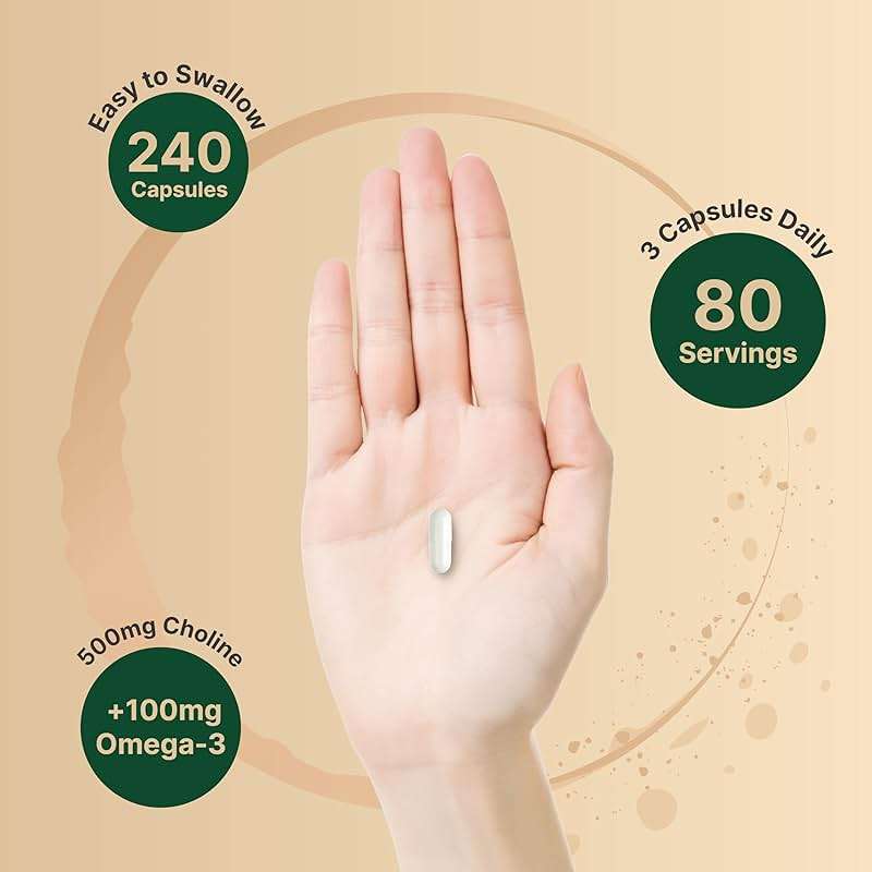 NatureBell Choline 500 mg with Omega-3 Fatty Acids, 240 Capsules | Extra Strength 2-in-1 Choline Bitartrate Formula | Non-GMO - Image 4