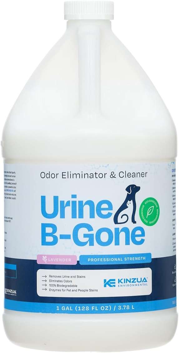 Urine B-Gone, Professional Enzyme Odor Eliminator & Pet Stain Remover, Human, Cat & Dog Urine Cleaner, Effective on Laundry, Carpets & More, Lavender Scent, 1 Gallon - Image 1