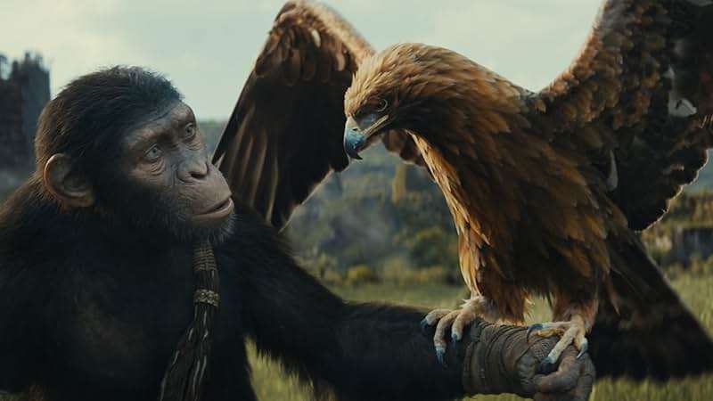 Kingdom of the Planet of the Apes - 4K + Blu-ray + Digital - Image 3