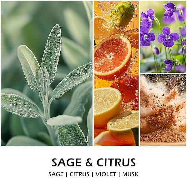 Molensun Sage & Citrus Scented Candles, Aromatherapy Jar Candle, 7 oz Long Lasting Candles, Soy Wax Candle Gift for Women - Image 2