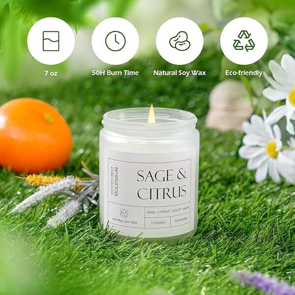 Molensun Sage & Citrus Scented Candles, Aromatherapy Jar Candle, 7 oz Long Lasting Candles, Soy Wax Candle Gift for Women - Image 3