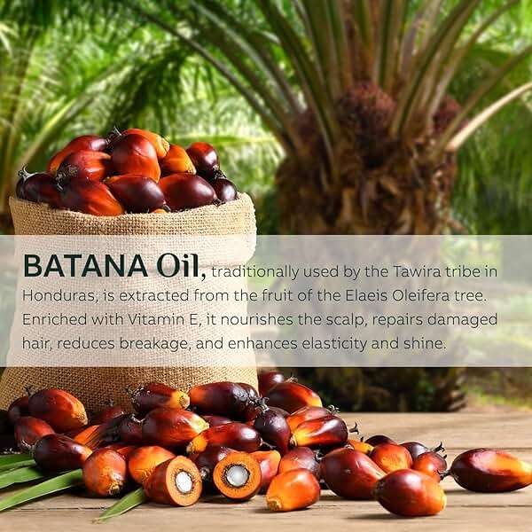 FEIBTH Raw Batana Oil for Hair Growth, Batana Oil Organic for Hair Growth, Batana Oil for Hair Growth Dr Sebi Organic, Prevent Hair Loss and Enhances Hair Thickness, 100g., White - Image 3