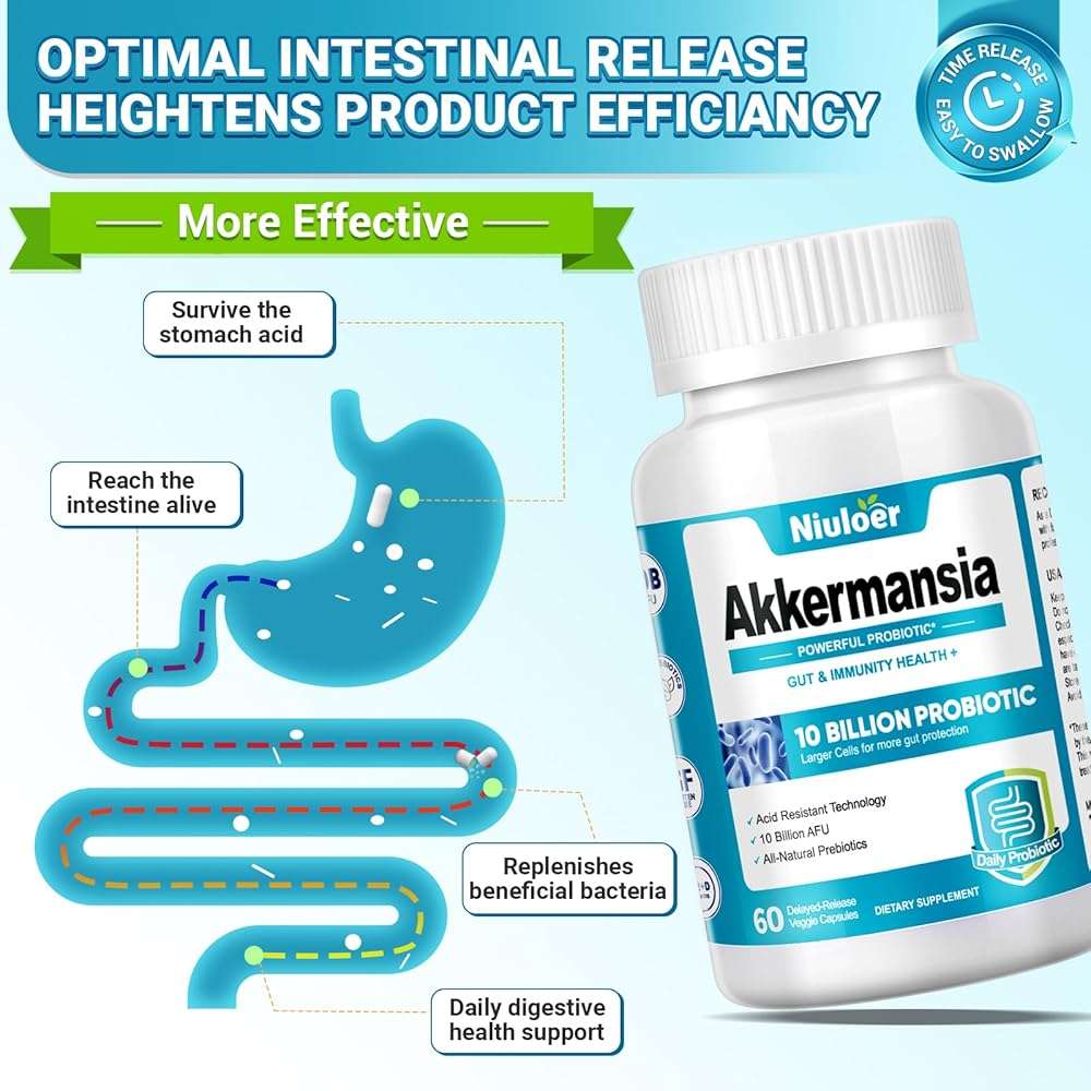 Niuloer Akkermansia Probiotic, Probiotics for Women & Men - 10 Billion AFUs + Organic Prebiotics, Digestive, Gut, Immune & Overall Health, Enhances Gut Digestive Lining Function (60 Capsules, 1-Pack) - Image 3