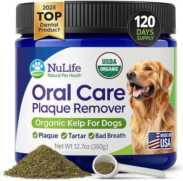 NuLife Natural Pet Health Dog Teeth Cleaning Powder, Dog Plaque and Tartar Remover, Bad Breath Treatment for Dogs with USDA Organic Sea Kelp Powder, Dog Dental Care Made Easy, for All Ages, 12 oz - Image 1