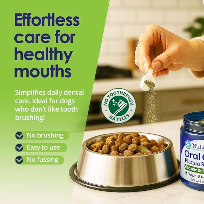 NuLife Natural Pet Health Dog Teeth Cleaning Powder, Dog Plaque and Tartar Remover, Bad Breath Treatment for Dogs with USDA Organic Sea Kelp Powder, Dog Dental Care Made Easy, for All Ages, 12 oz - Image 5