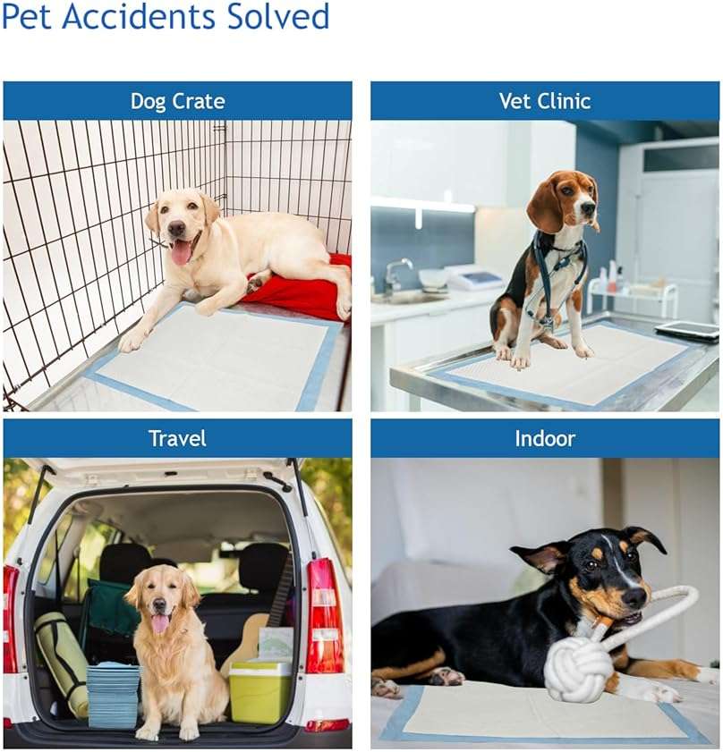 3Q Puppy Pee Pads, 22 x 22 Inch Leak-Proof Pet Potty Training Pads for Dogs, Quick Absorb 6-Layer Design, Ideal for Puppies, Cats, Rabbits, and Guinea Pigs (Blue-50 Count) - Image 4