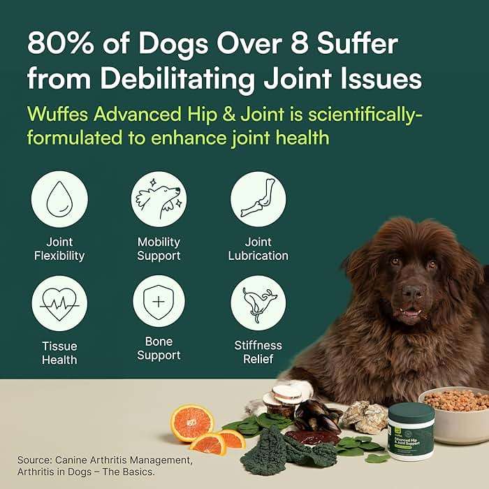 Wuffes Chewable Dog Hip & Joint Supplement - Glucosamine & Chondroitin Chews - Dog Joint Supplements & Vitamins - Extended Joint Care (Large Breed (Over 65 lbs), 60 Chews (Pack of 2)) - Image 6