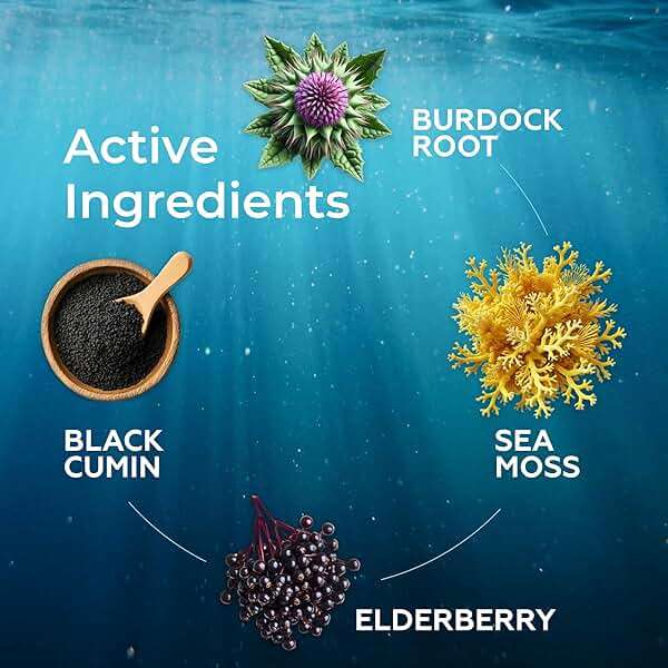 TrueSeaMoss Organic Irish Sea Moss Liquid Drops – Black Cumin Seed Oil, Black Elderberry Extract, Burdock Root, Vitamin C & Zinc – Elderberry Flavor – 30 Servings - Image 8