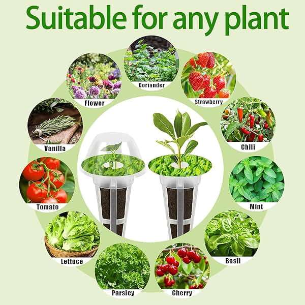 67 Seed Pod Kit for Aerogarden, Hydroponics Accessories for System Compatible with Hydroponics Supplies from All Brands, 12 Grow Sponges, 12 Grow Baskets, 12 Domes, 30 Pod Labels, 1 Tweezer (67 Pcs) - Image 5