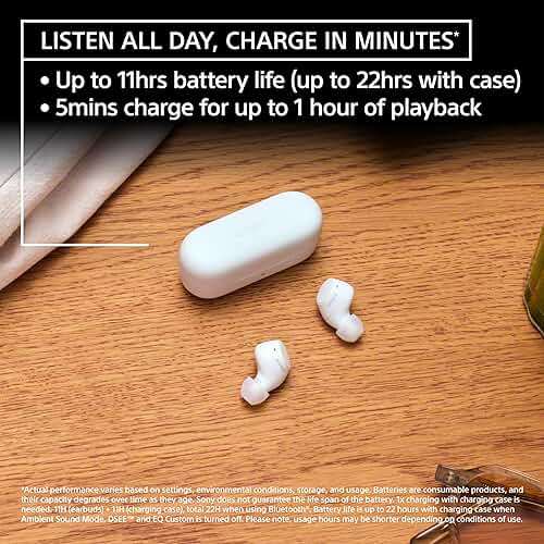 Sony WF-C510 Truly Wireless in-Ear Bluetooth Earbud Headphones with up to 22-Hour Battery, Multipoint-Connection, Mic and IPX4 Water Resistance, Black - Image 3