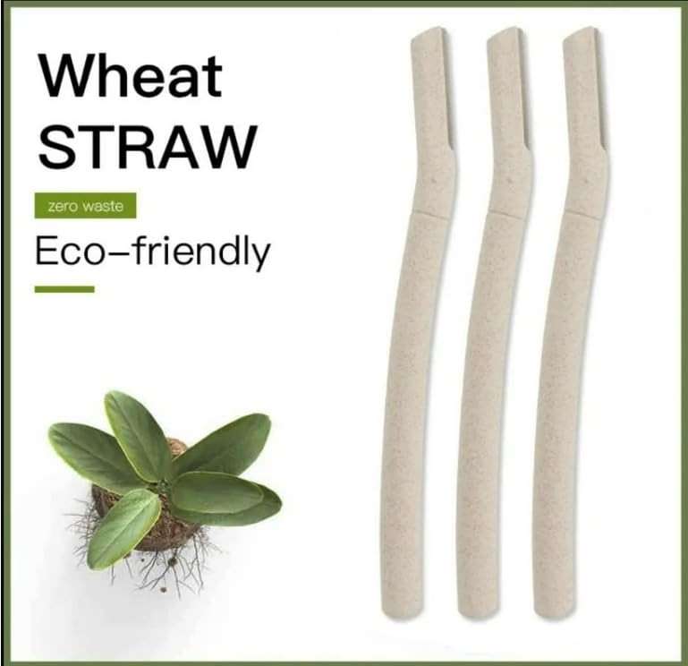 Derma-Plane Razor | Biodegradable Face Razor | Eyebrow Shaper | Recycled Wheat Straw Material | Eco-Friendly | 3 Count (Pack of 1) - Image 2
