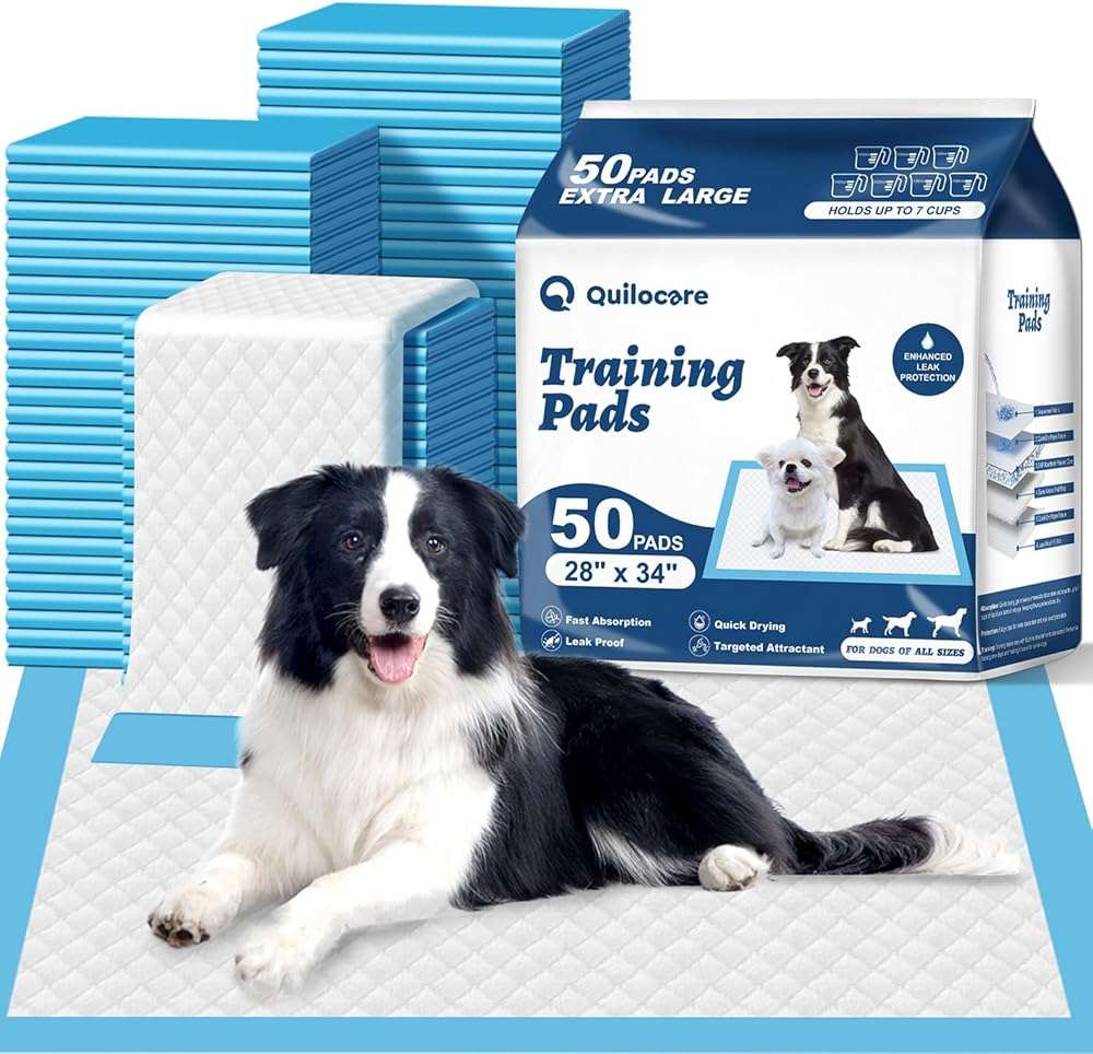 50 Count 28” x 34” XL Disposable Dog Pee Pads, Super Absorbent Leakproof Quick Drying Puppy Pee Pads for Dogs, Extra Large Disposable Dog Training Pads - Image 1