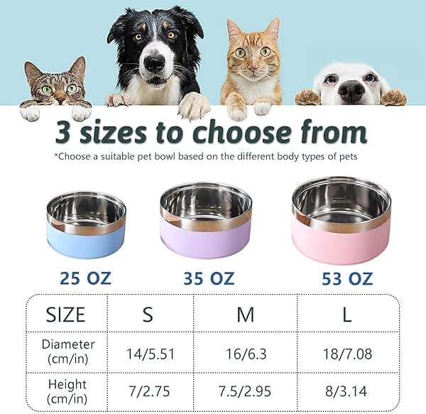 Personalized Dog Bowls with Name, BUGMKCS Customized Steel-stanless Pet Water Bowls for Both Cat & Dog, Engraved Dog Water Bowl, Durable Cute Double Layer Reinforcement Cat Food Bowl for Pets Gifts - Image 6