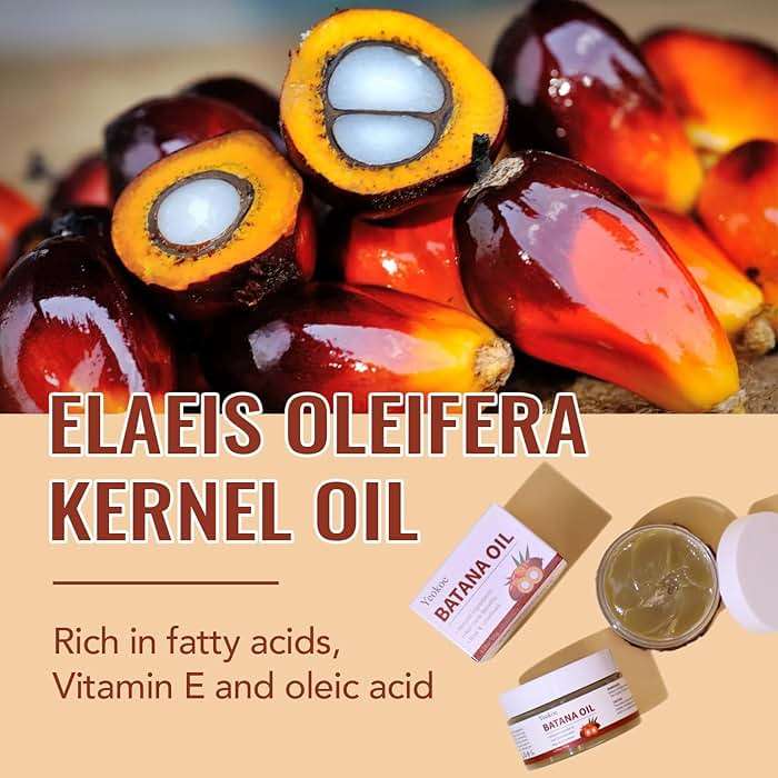 Yeokoe Batana Oil for Hair Growth Pure and Natural Raw Unrefined Dr Sebi,Hair Oil,Great for Skin Care and Hair Care Promotes Hair Thickness for Men Women - Image 3