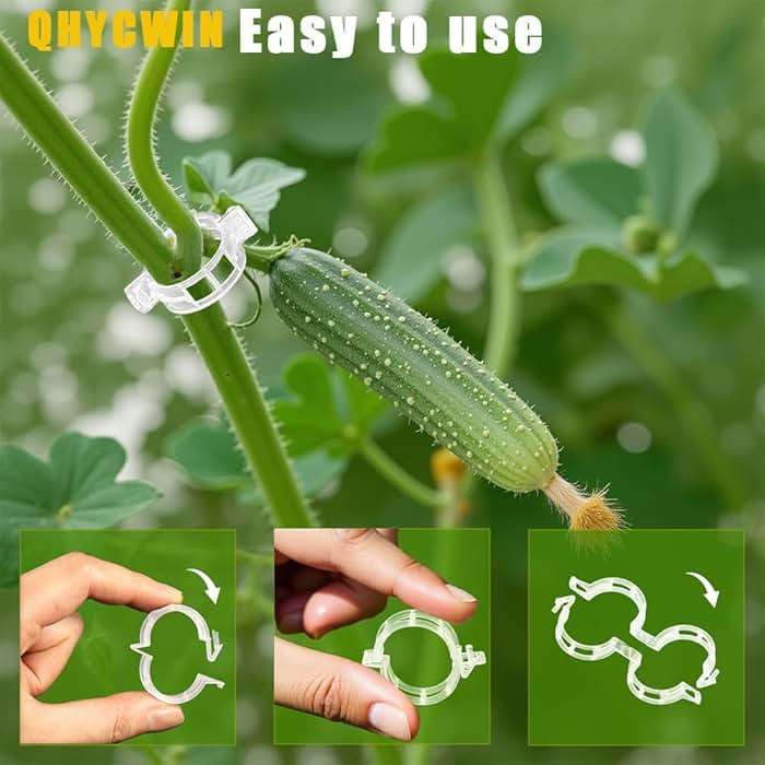 QHYCWIN 200 Pcs Plant Support Clips, 2 Types in 1 Pack, Plastic Garden Clips for Tomato, Grape, Cucumber, Vine Plants, Reusable Plant Clips for Climbing Plants (Green White) - Image 5