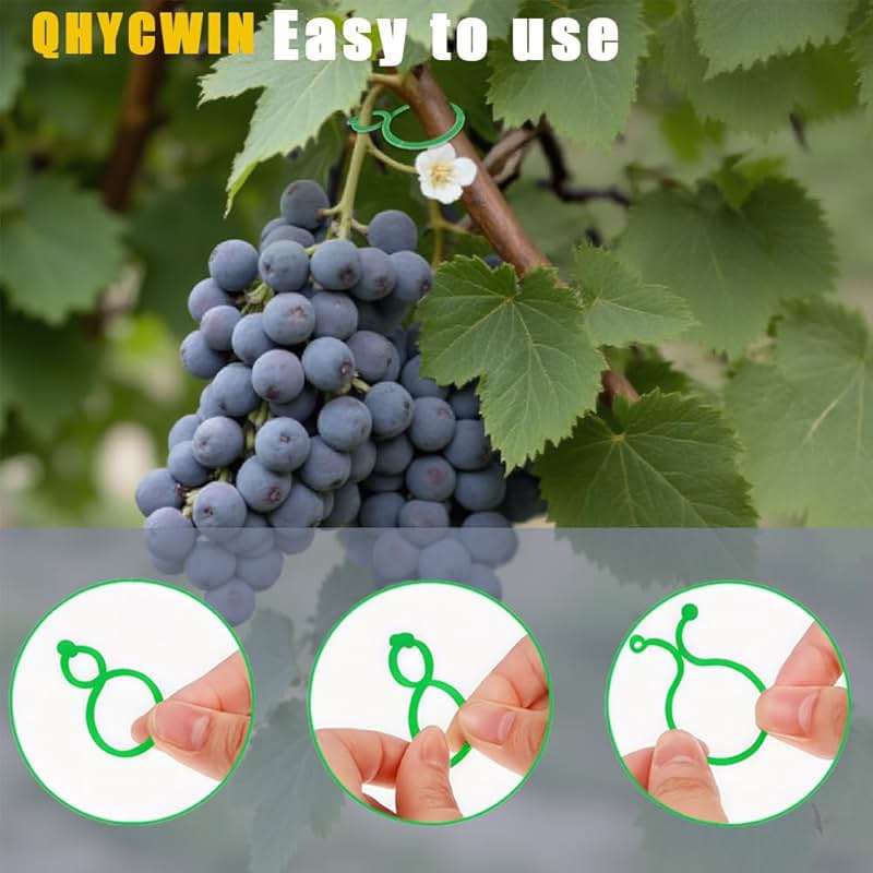 QHYCWIN 200 Pcs Plant Support Clips, 2 Types in 1 Pack, Plastic Garden Clips for Tomato, Grape, Cucumber, Vine Plants, Reusable Plant Clips for Climbing Plants (Green White) - Image 6