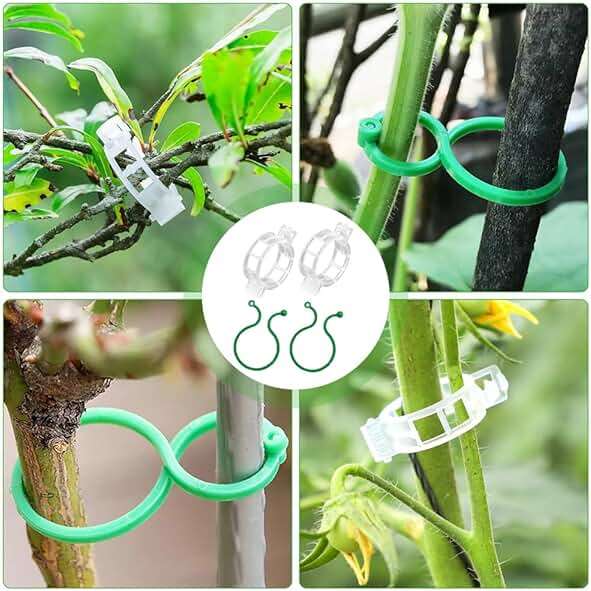QHYCWIN 200 Pcs Plant Support Clips, 2 Types in 1 Pack, Plastic Garden Clips for Tomato, Grape, Cucumber, Vine Plants, Reusable Plant Clips for Climbing Plants (Green White) - Image 7