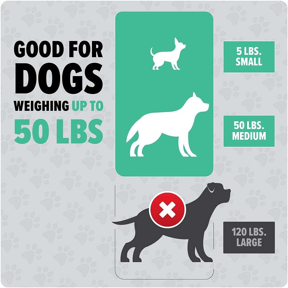 Dirt Devil Dogwalker Pet Waste Vacuum, Portable Handheld Vacuum, No-Contact Poop Scooper for Dogs, Ideal for Dogs up to 50 Pounds, Dog Poop Scooper for Yard Cleanup and Walks - Image 6