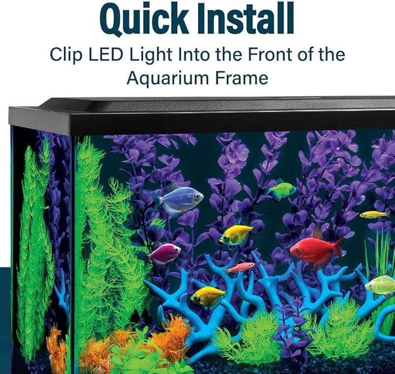 GloFish 6-Inch LED Light Stick for Fish Aquariums Up to 5 Gallons, 1 Count, with White and Blue LED Lights - Image 7