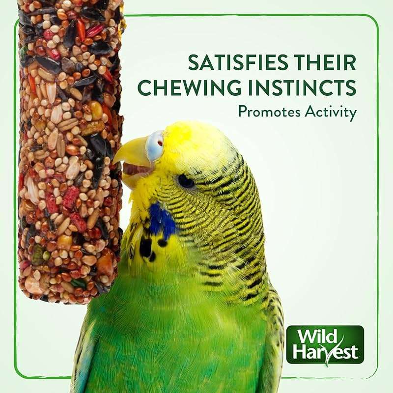 Wild Harvest Treat Stick with Tough Core for Small and Medium Birds, 1 oz Count, 100% Edible Interactive Treat and Toy Made with Rawhide Prepared Especially for Birds - Image 5