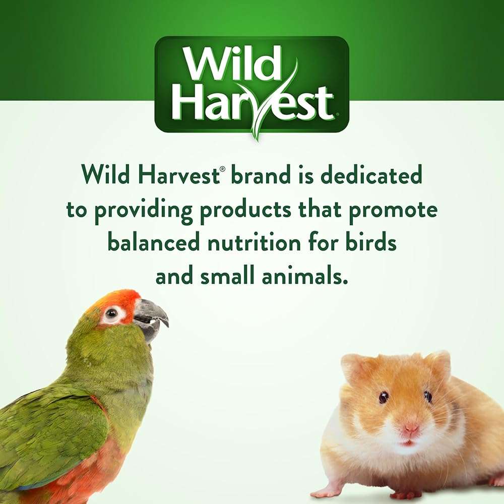 Wild Harvest Treat Stick with Tough Core for Small and Medium Birds, 1 oz Count, 100% Edible Interactive Treat and Toy Made with Rawhide Prepared Especially for Birds - Image 9